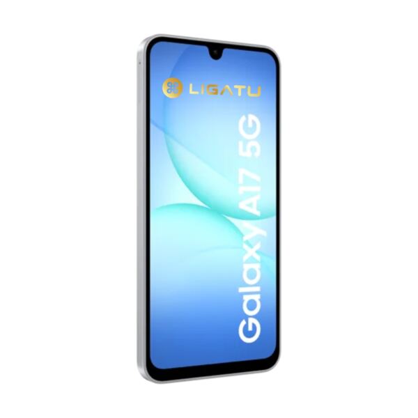 Samsung Galaxy A17 4G 8GB/256GB Ecrã de 6,7 polegadas Cinzento - Ligatu