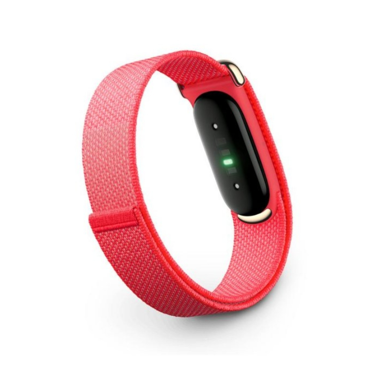 monitor-google-fitbit-air-berry-liga-tu-pt (3)