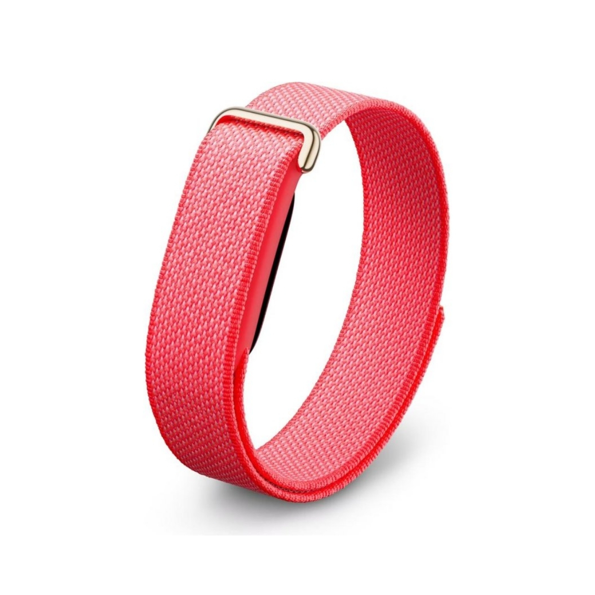 monitor-google-fitbit-air-berry-liga-tu-pt (4)